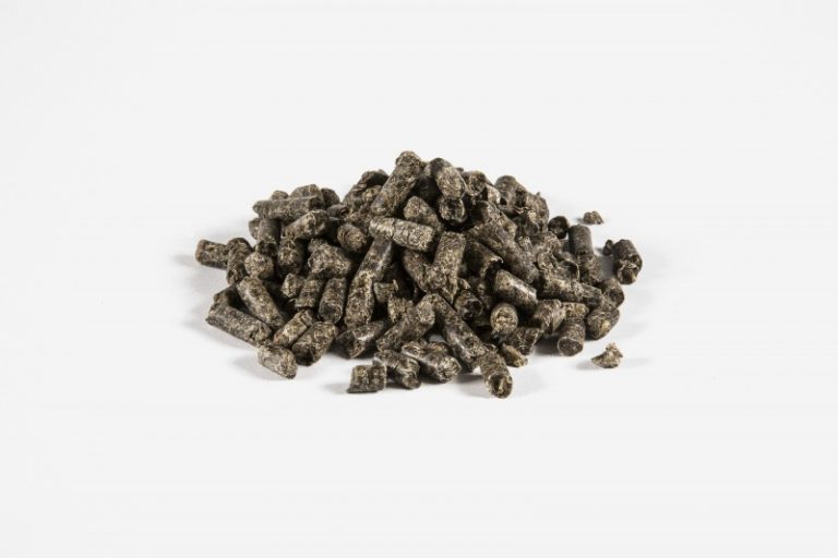 PULPES SECHES DE BETTERAVES SAC DE 25 KG Moulin Gochel